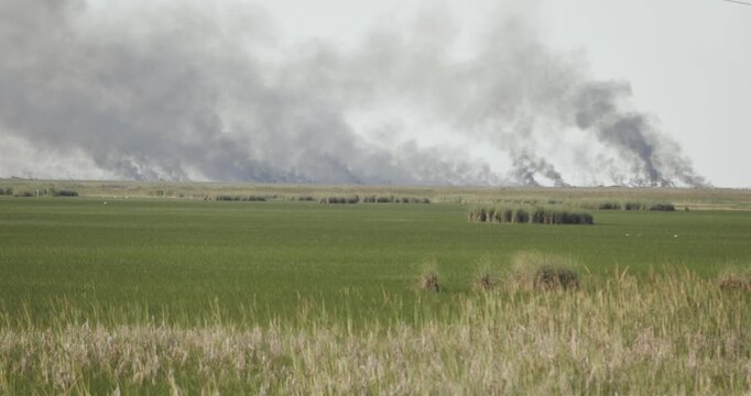 Handheld 4K footage of multiple wildfire hotspots burning across the Florida Everglades in Broward County. Smoke rises beyond sawgrass marshes.