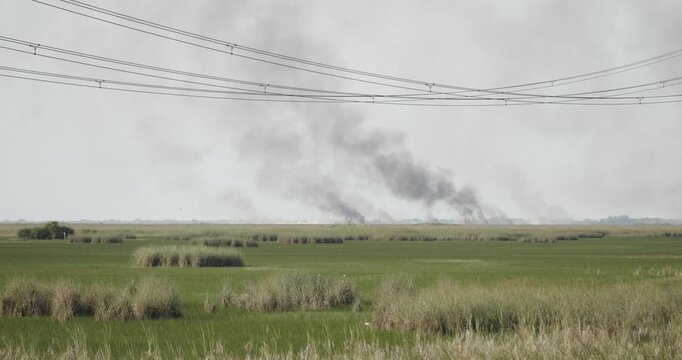 4K footage of multiple wildfire hotspots burning across the Florida Everglades in Broward County. Smoke rises beyond sawgrass marshes, Powerlines in foreground.