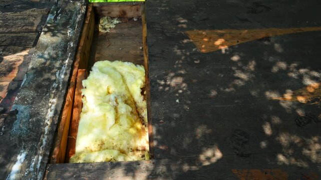 Residential roof during renovation showing fiberglass insulation beneath the roof deck after old roofing materials were removed.