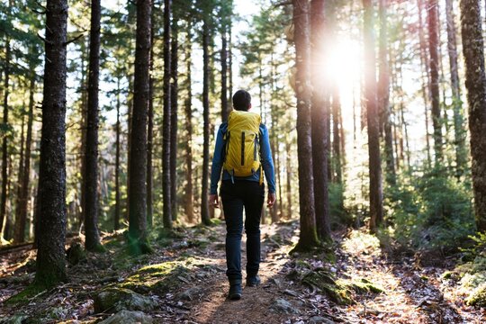 Hiker walking on a forest trail with a yellow backpack enjoying hiking in nature