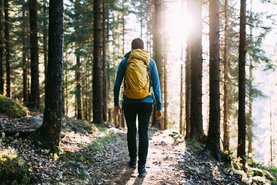 Hiker with a yellow backpack hiking through a sunlit forest on a nature adventure