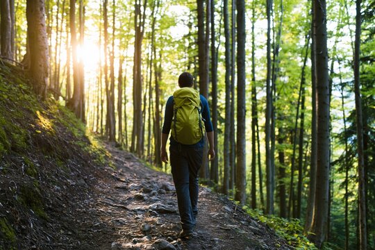 Hiker man with a backpack walking on a forest trail in nature during the sunset