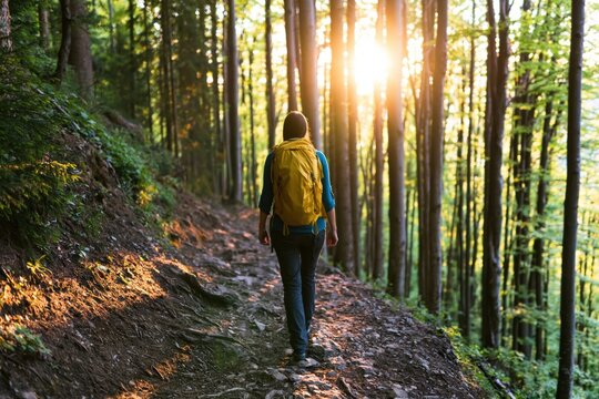 Hiker trekking through a lush green forest with a backpack during golden sunlight