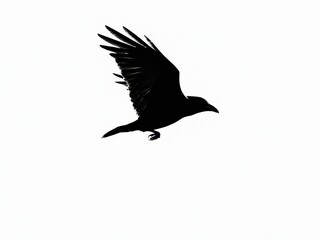 Obraz premium Silhouette of a crow in flight isolated on white background