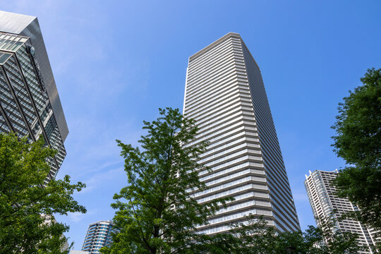 ベイシティ晴海スカイリンクタワー（東京都中央区晴海）