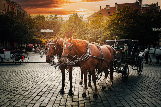 Horse-drawn carriage at sunset in Old Town Square Prague