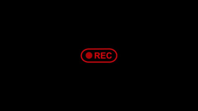 REC Recording Indicator Animation, Camera Recording Interface with Blinking Icon, Alpha Channel, 4K Motion Graphics