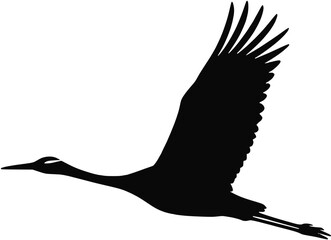 Obraz premium flying crane bird