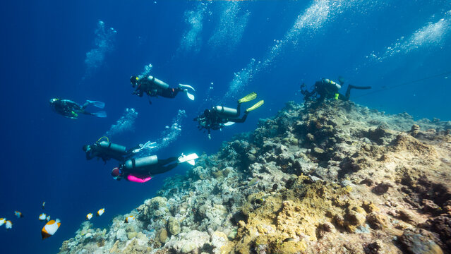 A group of SCUBA Divers descend down a reef into deep dark water	
