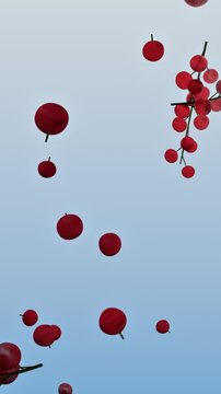 Red berries flying on light blue background with branches of ripe cranberries floating in the air. 3d rendering