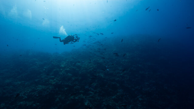 Underwater shot of a single SCUBA Diver with underwater camera swimming above a deep reef in the Palau Marine Sanctuary