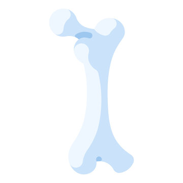 Bone