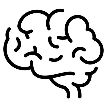 Brain