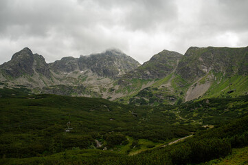 Empty chairlift moves over a lush green mountain valley © Cavan