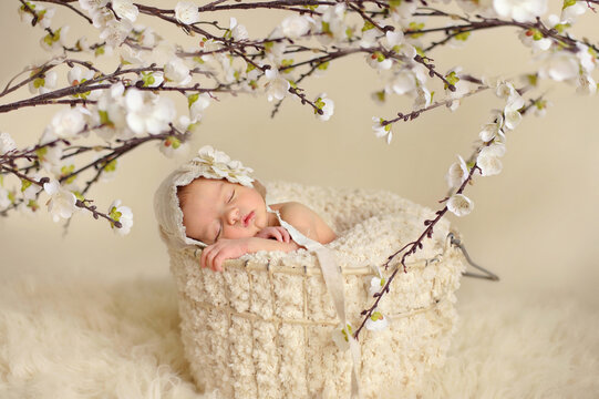 Newborn baby sleeping in a basket under blossoms