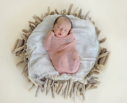 Newborn baby sleeping peacefully in a driftwood nest