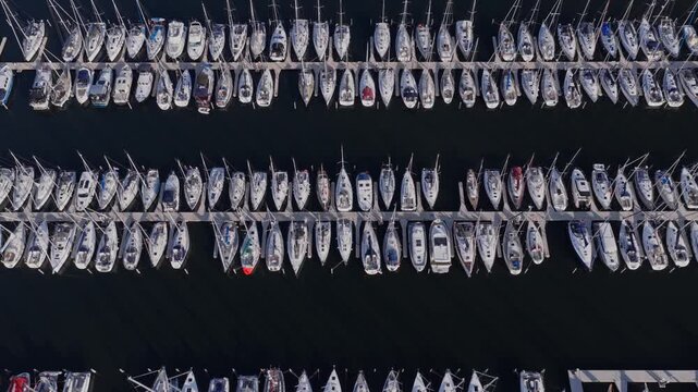 Bruinisse (Zeeland, The Netherlands) | Drone