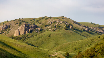 Obraz premium Rolling green hills with scattered rocks and sparse vegetation