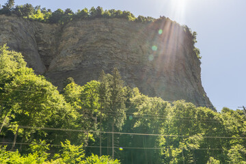 Sunlit stratified limestone cliff rising above lush mixed forest under a clear blue sky, dramatic geological landscape with lens flare, ideal for nature, travel and geology themes. © Anna