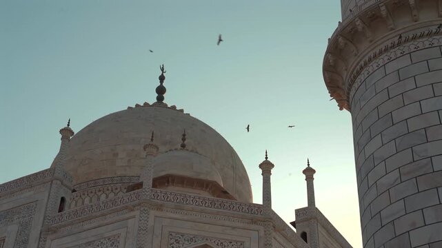 A low-angle view captures the iconic main dome and minaret of the Taj Mahal as birds fly across the clear sky in Agra