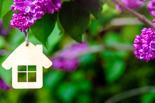 The symbol of the house among the branches of the pink lilac
