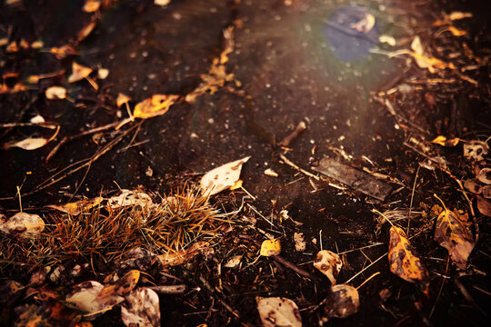 Beautiful Nature Autumn landscape. Scenery view on autumn city park with golden yellow foliage in Sunny day. Walking path in the city Park strewn with autumn fallen leaves.