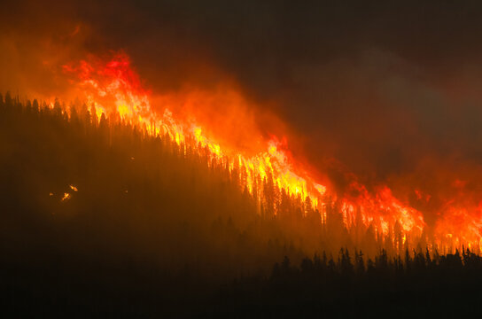 Massive wildfire raging on a forested hillside