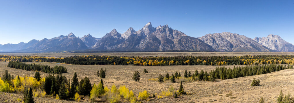 River Valley Framed by Pine and Aspen Forest With Mountain Peaks