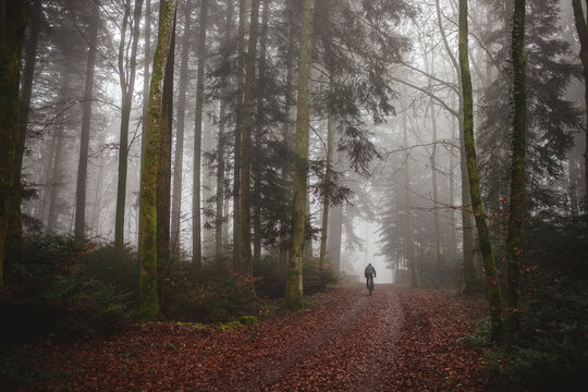 Lone mountain biker riding on a foggy forest trail
