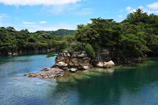 Lush trees on a rocky turquoise coast