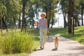 Obraz premium Woman Walking Golden Retriever Carrying Umbrella on Leash in Sunny City Park