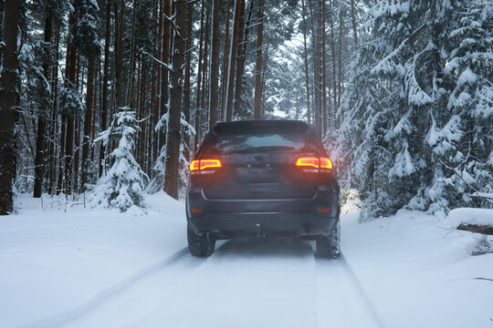 Car in the winter forest. Traveling through a snowy park by car during the Christmas holidays.