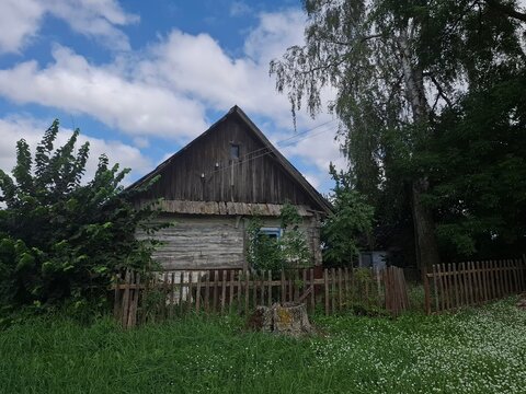 Abandoned old wooden village house overgrown with green trees and tall grass on a sunny day