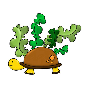 funny turtle cartoon