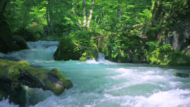 奥入瀬渓流　川　日本　水流