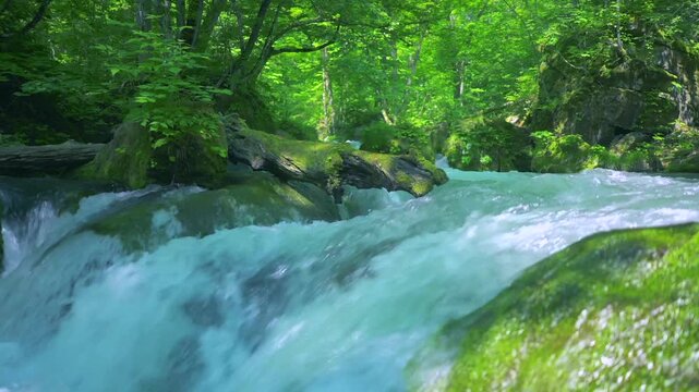 奥入瀬渓流　川　日本　水流