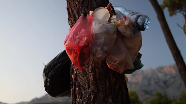 Plastic bags bottles cups and food packaging hang from a tree showing careless waste disposal and growing pollution caused by tourism in natural recreation areas today