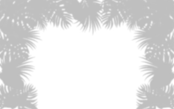 Tropical leaf silhouettes forming a frame with shadow overlay effect on transparent background leaves foliage plant botanical border