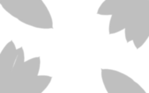 Gray leaf silhouettes arranged in a circular frame on transparent background leaves foliage floral botanical shapes grey monochrome
