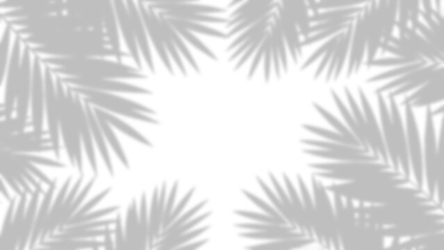 Palm leaf silhouettes with shadow overlay effect a botanical pattern on transparent background leaves tropical plant foliage nature