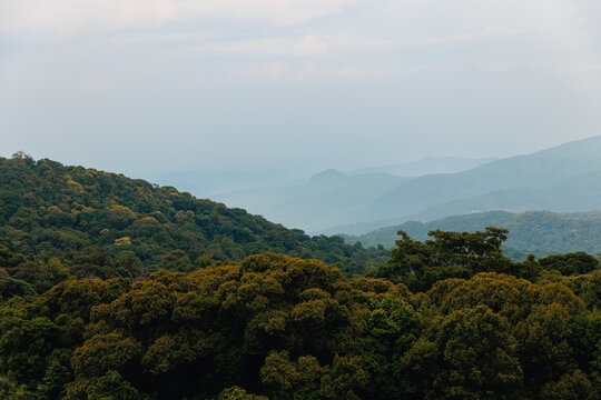 Mountain forest layers with misty hills Top highest mountain of Thailand, National Park Doi Inthanon Chiang Mai.