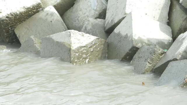 Concrete tetrapod blocks and geo bags placed along riverbank to prevent severe soil erosion