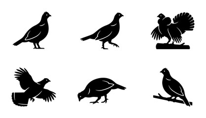 Fototapeta premium Grouse Bird Silhouettes, Vector Icons Set: Wildlife, Nature, Hunting, Game Birds