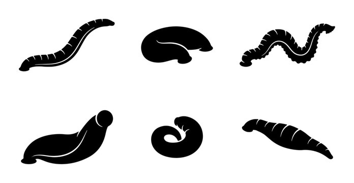 Leech Icons Set, Medical Bloodsucker Vector Graphics, Parasite Silhouettes for Science and Health
