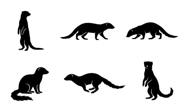 Mongoose Silhouette Collection, Wild Animal Icons, Vector Set for Wildlife Graphics