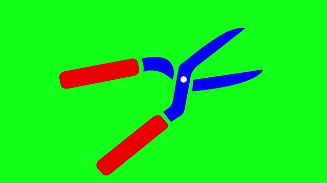 a vibrant vector illustration of a pair of garden shears with bright pink blades and blue handles, symbolizing gardening, pruning, and landscaping tasks