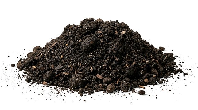 A pile of dark fertile soil for gardening and planting isolated on white background.