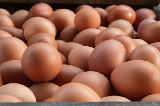 Fresh eggs in boxes for sale as a food reserve.