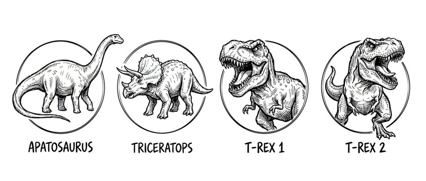 Dinosaur illustration set isolated on transparent background