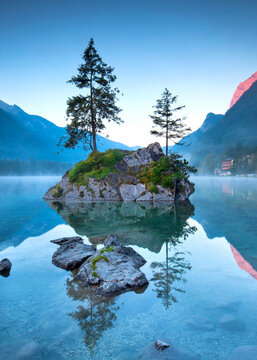 Lonely Tree Reflected in a Tranquil Alpine Lake at Sunrise